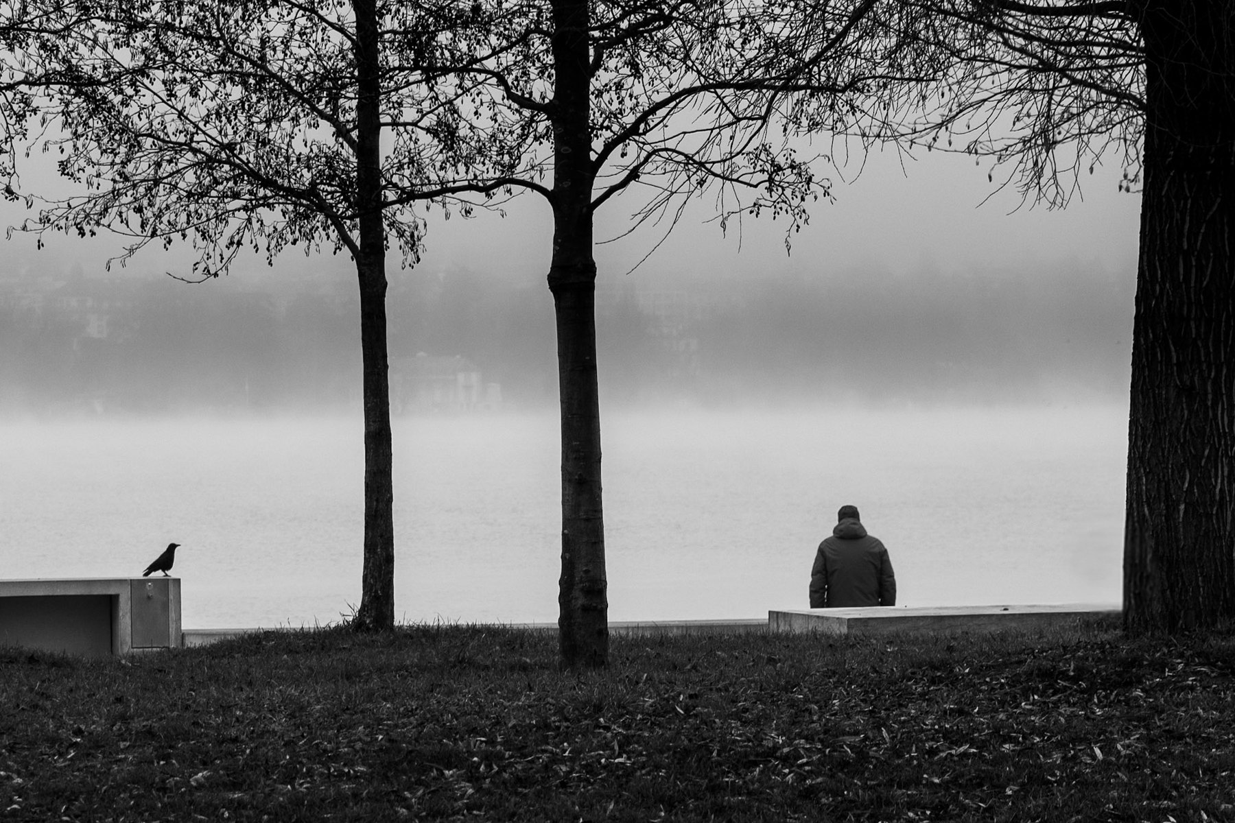 Silhouette assise face au lac dans la brume, un corbeau sur le banc voisin